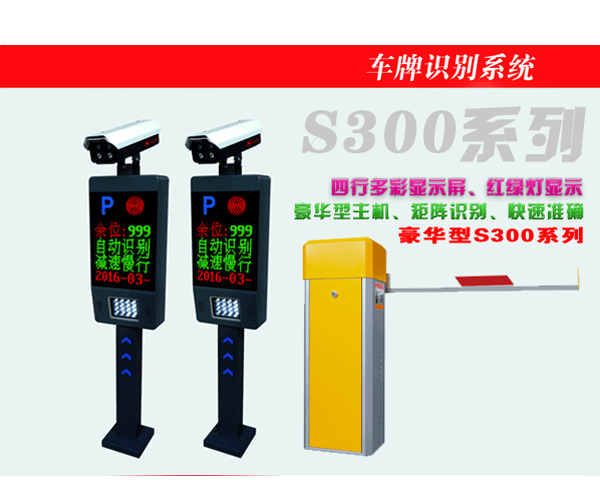 S300